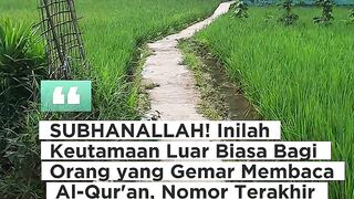 Inilah Keutamaan Luar Biasa Bagi Orang yang Gemar Membaca Al-Qur'an, Nomor Terakhir Membuat Hati Bergetar!