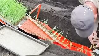 ini alasan kenapa pertanian di jepang begitu maju