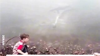 momen langka danau membeku langsung !