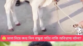 ✨ প্রকৃতির এই রহস্য দেখলে আপনিও বিশ্বাস করতে পারবেন না!