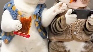 You won't eat it if you're hungry!