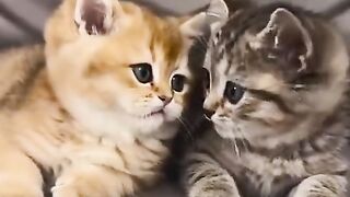 Besties gosip