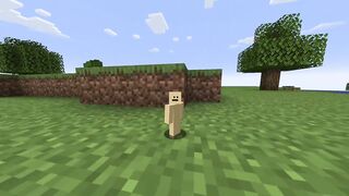 MINECRAFT'S SMALLEST CHALLENGE
