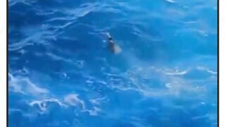Seorang perempuan dikabarkan jatuh ke laut