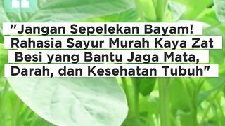 "Jangan Sepelekan Bayam! Rahasia Sayur Murah Kaya Zat Besi yang Bantu Jaga Mata, Darah, dan Kesehatan Tubuh"