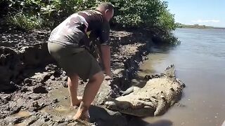 The Ultimate Crocodile Whisperer: Brave or Crazy?