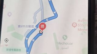 Comparison of Google Maps and Amap: Pros & Cons for Overseas Travel