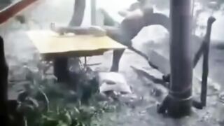Akan ada masa ketika seseorang merasa lelah dengan segala kebisingan yang mengelilinginya