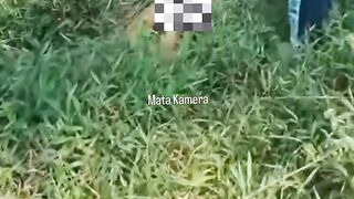 Dasar Anjing 2