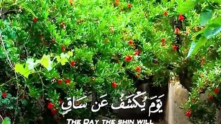 Quran Majeed Tilawat  / must watch
