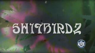 Unkle Matt and the Shitbirdz - Ray Gay