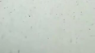 The rain