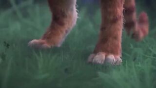 Puss in Boots: The Last Wish
