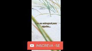 motivaçaodiaria