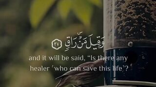 Ayat pak