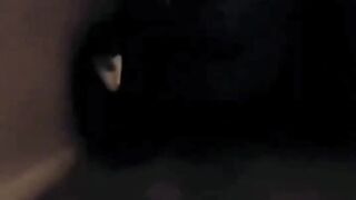 Different Cat