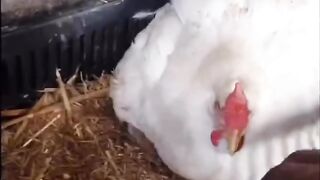enemies become friends