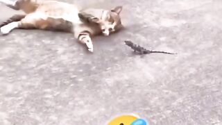 ????????????????????????