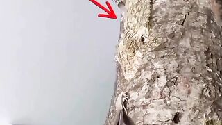 ????????????????????