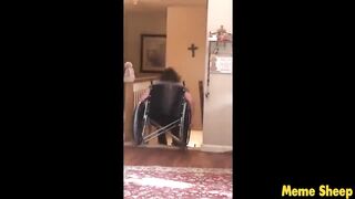 Perfectly Cut Screams Memes