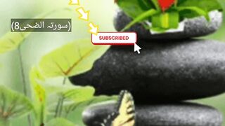 Surah Ad-Duha ayt8 beautiful tilawat, terjma