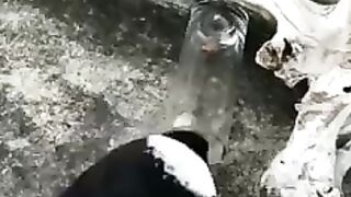 CLEVER and amazing crow
