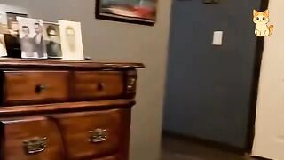 Try Not to Laugh at These Cat Fails