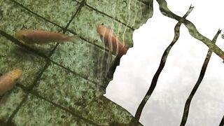 realme c85 pro camera test in water