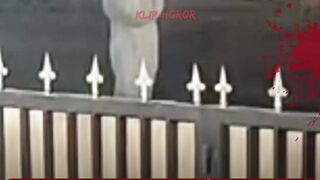 penampakan pocong jadi jadian