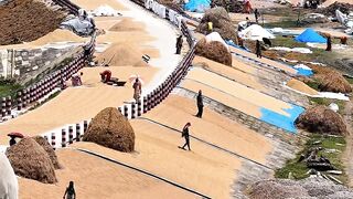 ???? গ্রাম বাংলার স্বর্গীয় সৌন্দর্য | Nature Beauty of Bangladesh