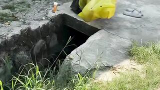 Gangguin mermet lagi nyantai aja