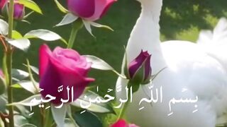 Surah Jiljal