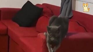 99% Will Laugh