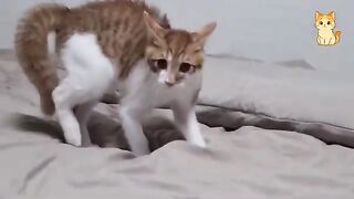 You Laugh You Lose 2