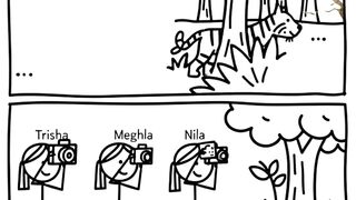 adventure of jungle story