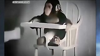 mencoba membesarkan seekor bayi simpanse bernama Gua bersama anak kandung mereka
