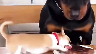 Funny reactions and emotions!