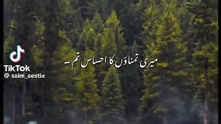 Beautiful Song 182