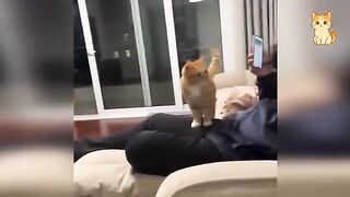 Try Not To Laugh 7