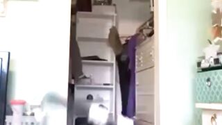 You Will Must Laugh In 5 Seconds #funnyreels #funtime #funnyvideo #usa #laughinggas