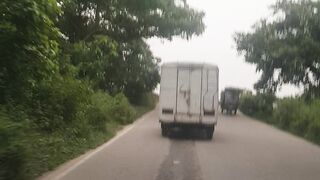 শেওলা