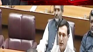 Barrister Gohar Ali Khan Aggressive Speech in National Assembly