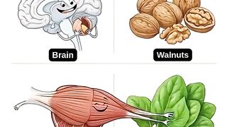 WHEN FOOD ACTS LIKE MEDICINE