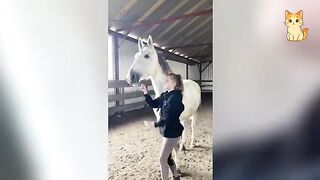 The FUNNIEST Farm Animals 2