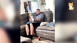 You Can’t Stop Laughing At These Cats 3