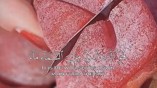 Quran recitation 42