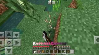 Minecraft Randoms Gameplay |Part 37 (Facecam）)