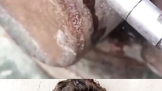 پانی کی طاقت