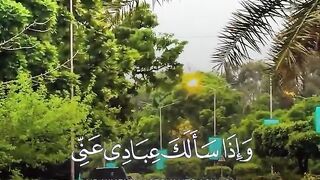 Quran paak Tilawat must watch 4