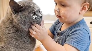 Funny cat ???????????? 5
